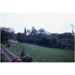 yardwork-lormont.jpg